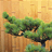 迪威網(wǎng)友2ByvZt
